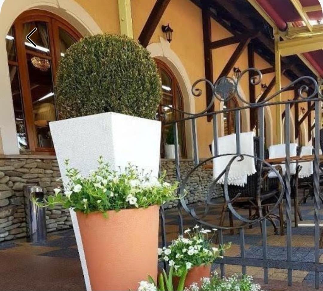 U Pietrzakow Hotel Zielonka  Exterior foto